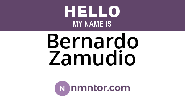 Bernardo Zamudio