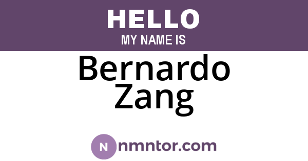 Bernardo Zang