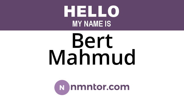 Bert Mahmud