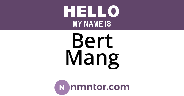 Bert Mang