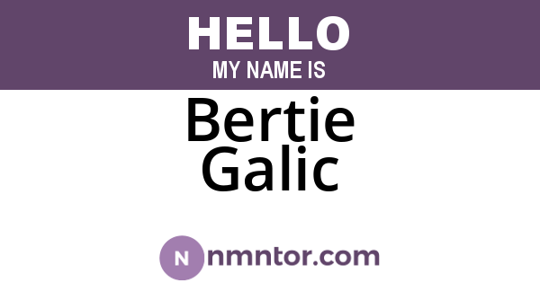 Bertie Galic