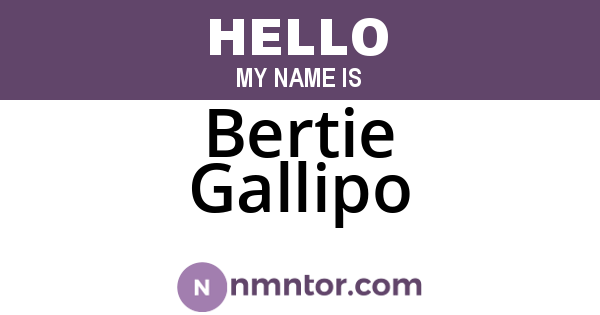 Bertie Gallipo