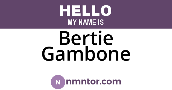 Bertie Gambone