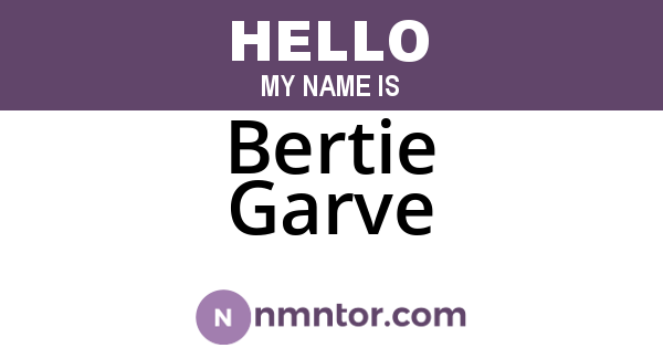 Bertie Garve