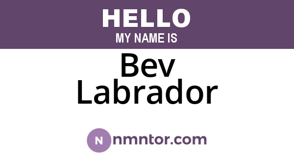 Bev Labrador