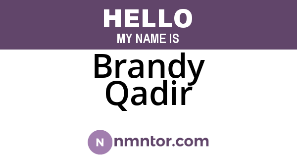 Brandy Qadir