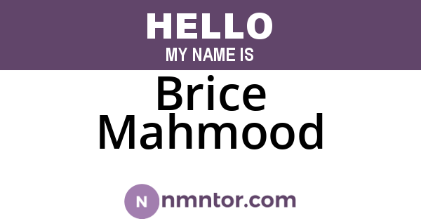 Brice Mahmood