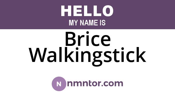 Brice Walkingstick