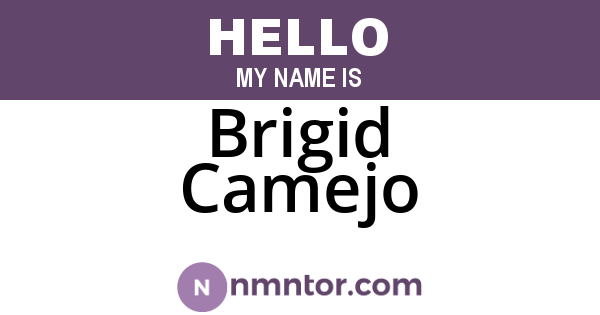 Brigid Camejo