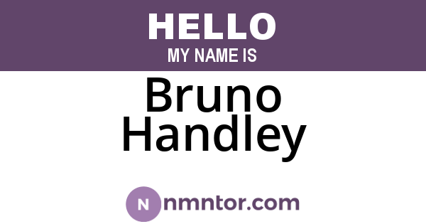 Bruno Handley
