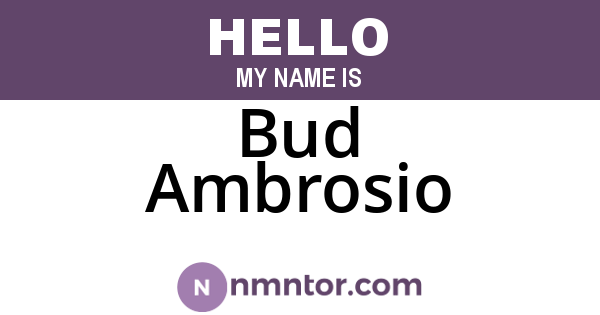 Bud Ambrosio