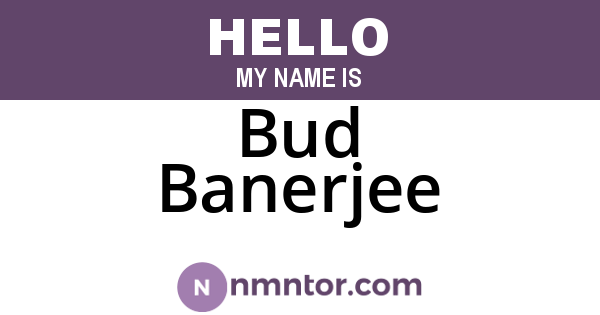 Bud Banerjee