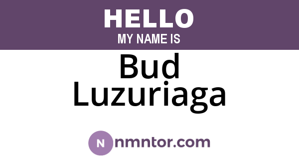 Bud Luzuriaga