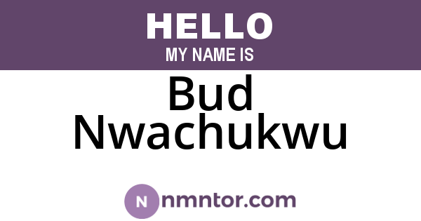 Bud Nwachukwu