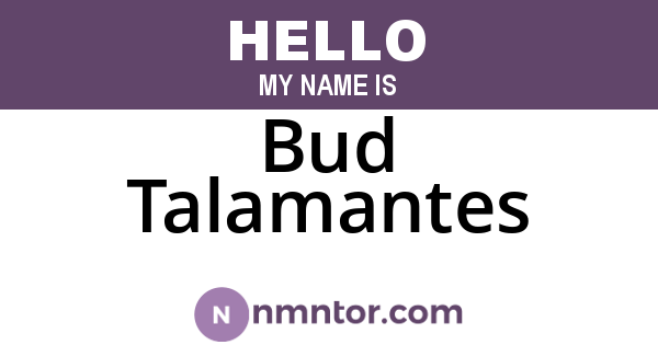 Bud Talamantes