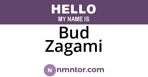 Bud Zagami
