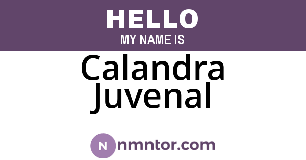 Calandra Juvenal