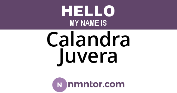 Calandra Juvera