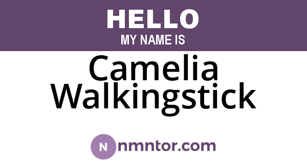Camelia Walkingstick
