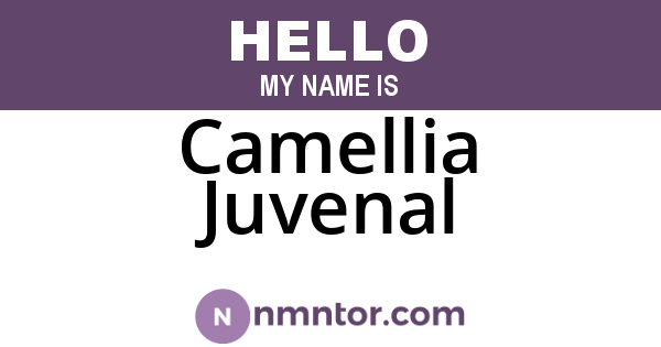 Camellia Juvenal