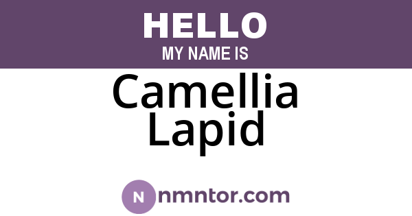 Camellia Lapid