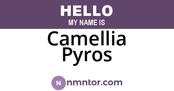 Camellia Pyros