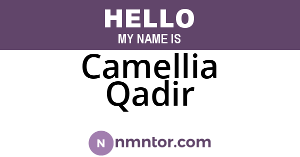 Camellia Qadir