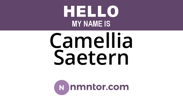Camellia Saetern
