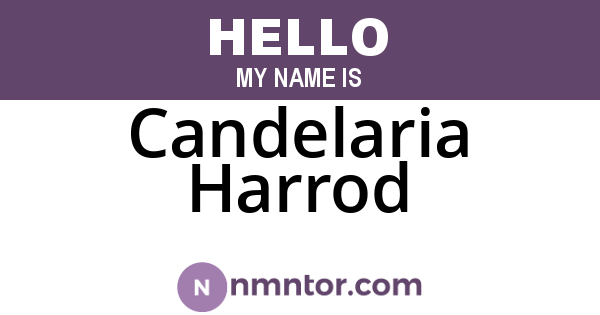 Candelaria Harrod