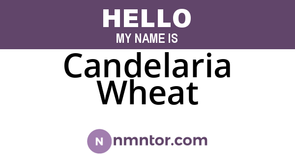 Candelaria Wheat