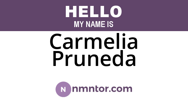 Carmelia Pruneda