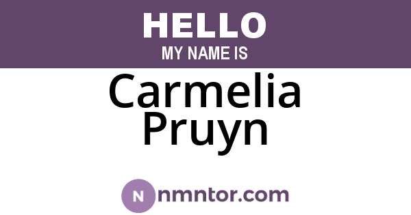 Carmelia Pruyn