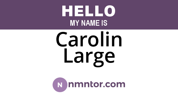 Carolin Large