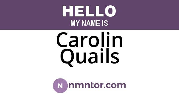 Carolin Quails