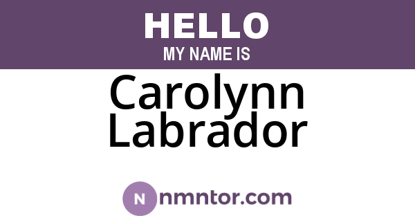 Carolynn Labrador