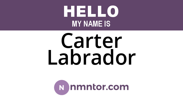 Carter Labrador