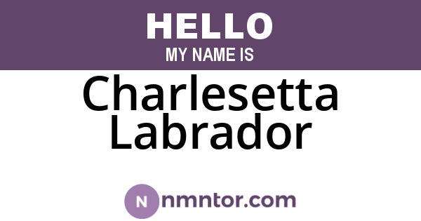 Charlesetta Labrador