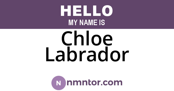 Chloe Labrador