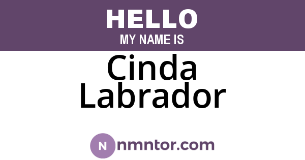Cinda Labrador