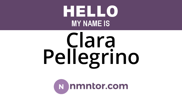 Clara Pellegrino