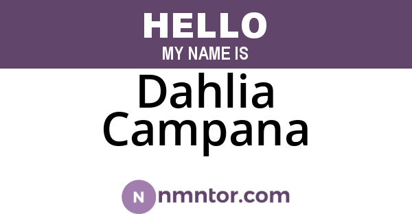 Dahlia Campana