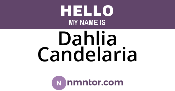 Dahlia Candelaria