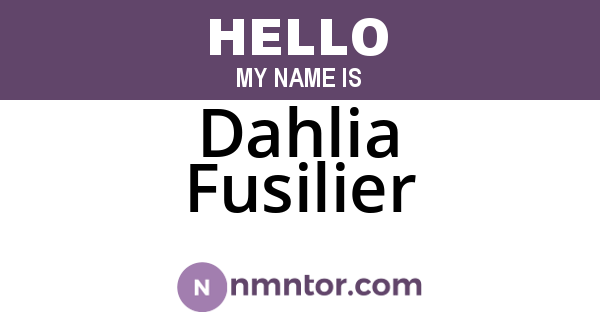 Dahlia Fusilier