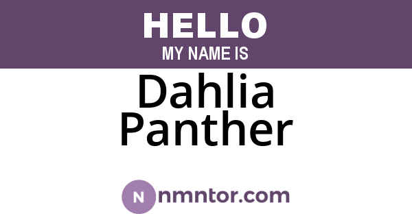 Dahlia Panther