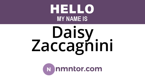 Daisy Zaccagnini