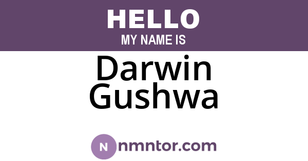 Darwin Gushwa