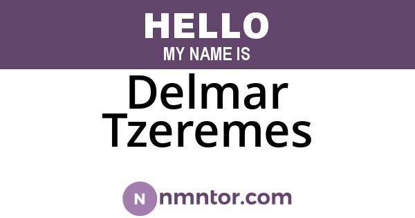Delmar Tzeremes