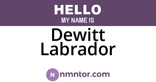 Dewitt Labrador