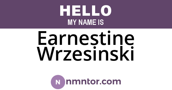 Earnestine Wrzesinski