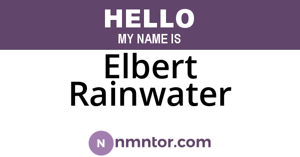 Elbert Rainwater